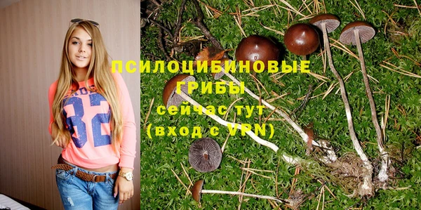 мяу мяу кристалл Аркадак