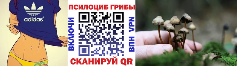 Галлюциногенные грибы GOLDEN TEACHER  Белокуриха 