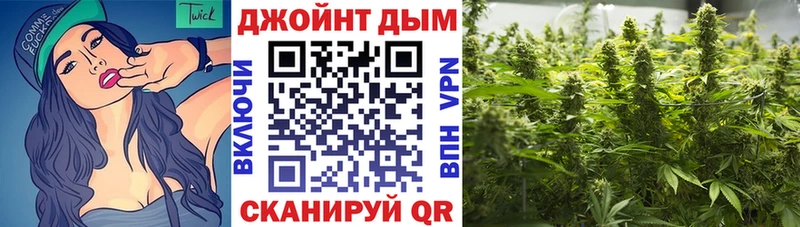 Бошки Шишки AK-47  Белокуриха 